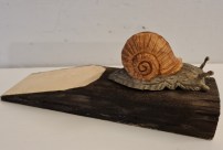 Türstopper Schnecke Holz 19.00